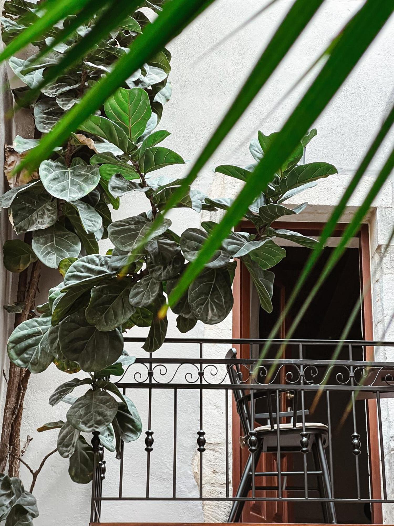 Hotel Casa Dei Delfini Rethymno Exterior foto